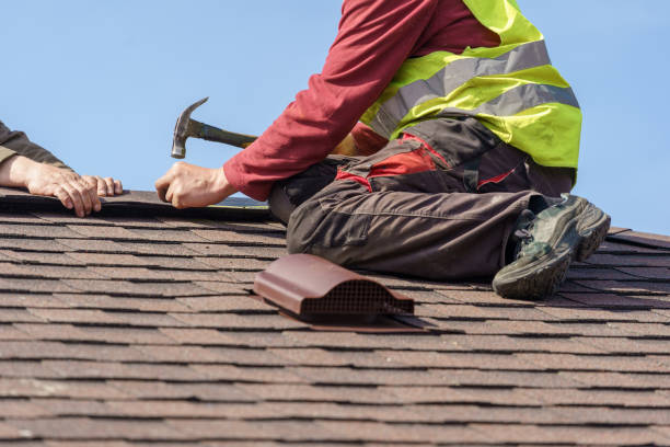 Best Metal Roofing Contractor  in Ackerman, MS