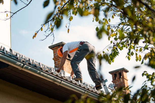 Best Storm Damage Roof Repair  in Ackerman, MS