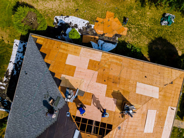 Best Residential Roof Replacement  in Ackerman, MS