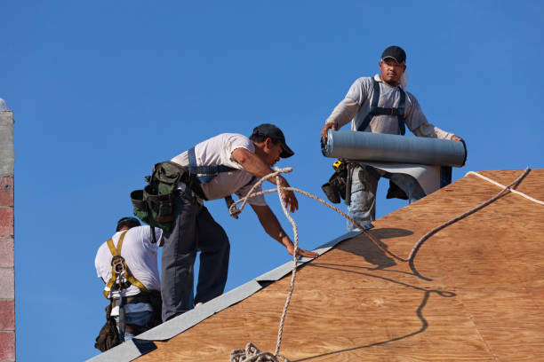Best Shingle Roofing Installation  in Ackerman, MS