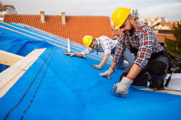 Best Roof Restoration Services  in Ackerman, MS