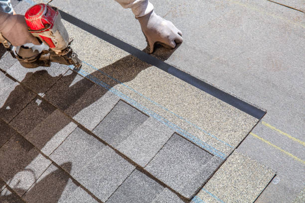 Best Roof Repair Services  in Ackerman, MS