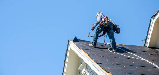 Best Roof Maintenance Services  in Ackerman, MS